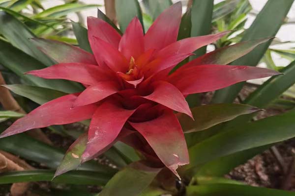 沈陽消防施工持證上崗制度